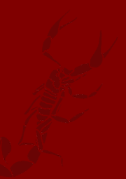scorpion graphic
